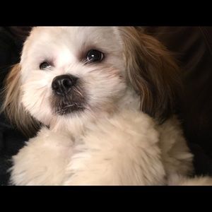 Meet your Posher, Mark